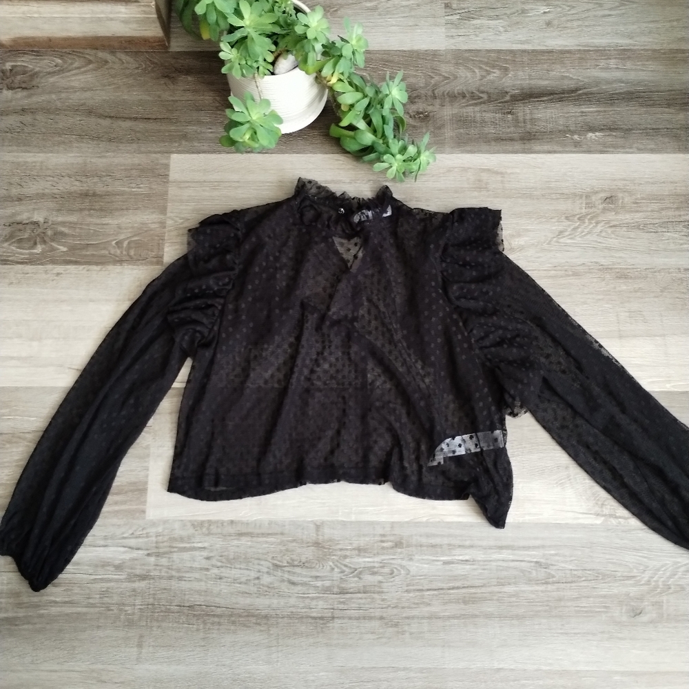 Zara Sheer Black Ruffled Blouse Large